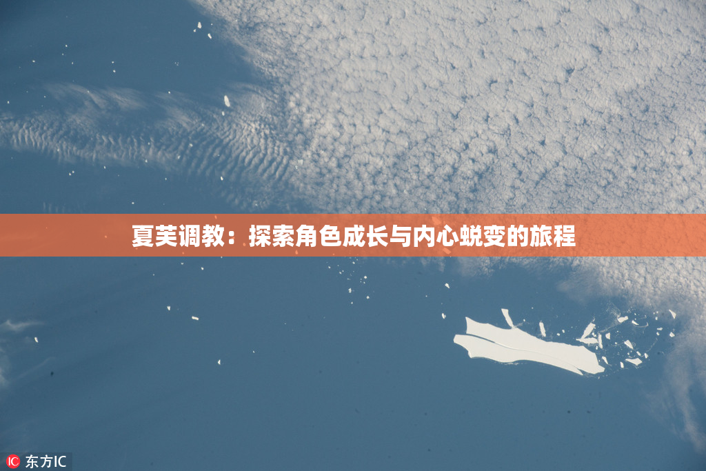 夏芙调教：探索角色成长与内心蜕变的旅程