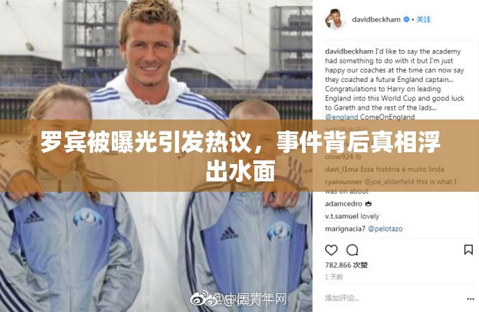 罗宾被曝光引发热议，事件背后真相浮出水面