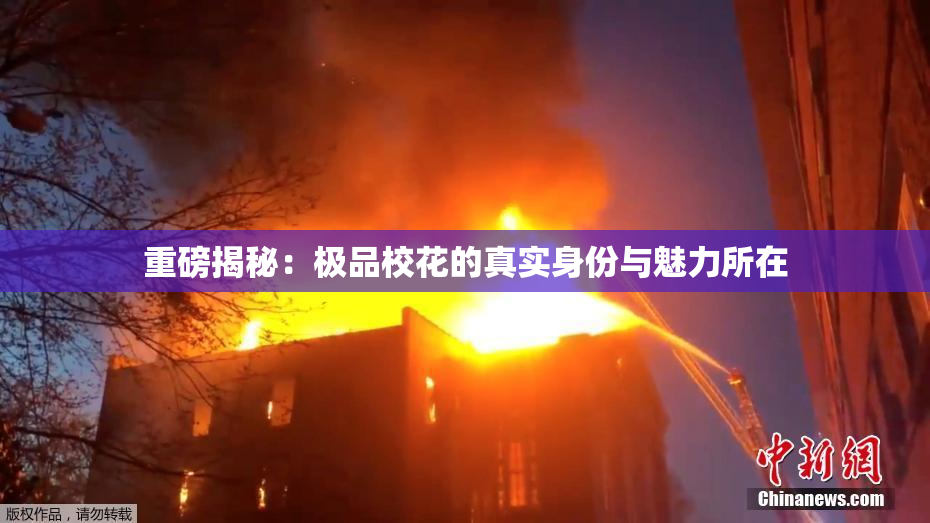 重磅揭秘：极品校花的真实身份与魅力所在