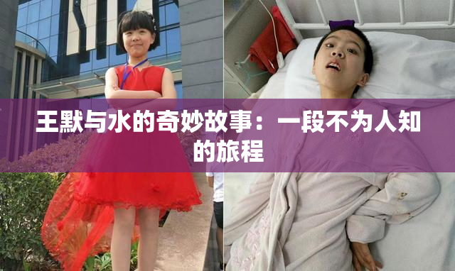 王默与水的奇妙故事：一段不为人知的旅程