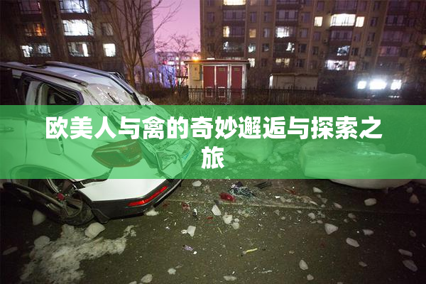 欧美人与禽的奇妙邂逅与探索之旅