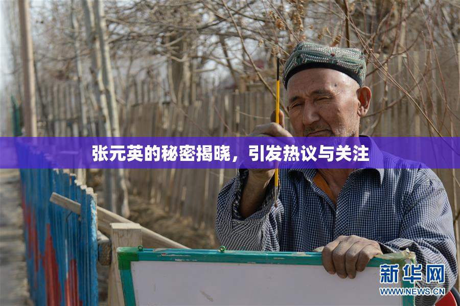 张元英的秘密揭晓，引发热议与关注
