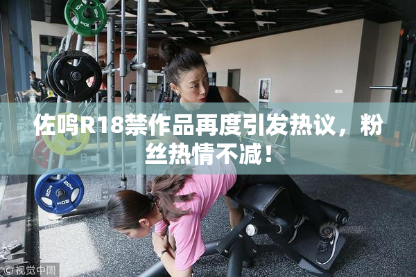 佐鸣R18禁作品再度引发热议，粉丝热情不减！