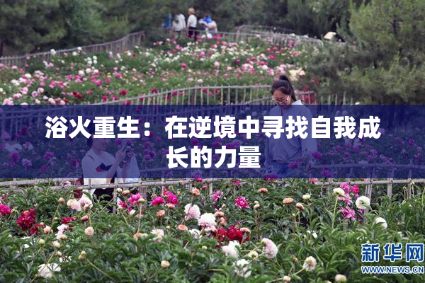 浴火重生：在逆境中寻找自我成长的力量