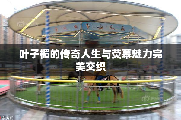 叶子楣的传奇人生与荧幕魅力完美交织