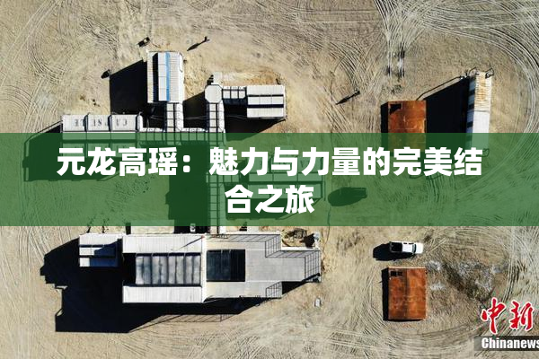 元龙高瑶：魅力与力量的完美结合之旅