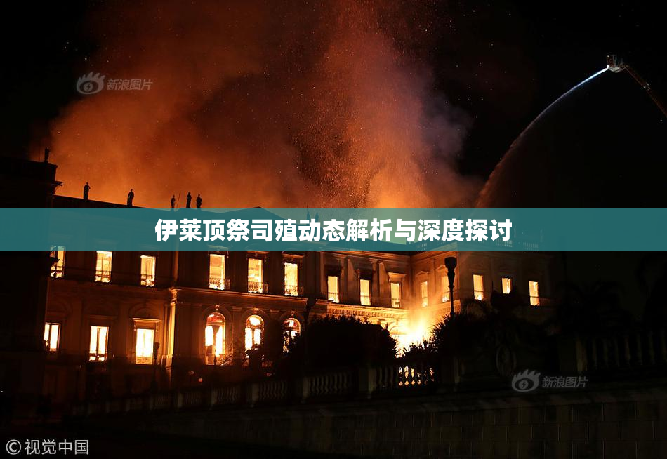 伊莱顶祭司殖动态解析与深度探讨