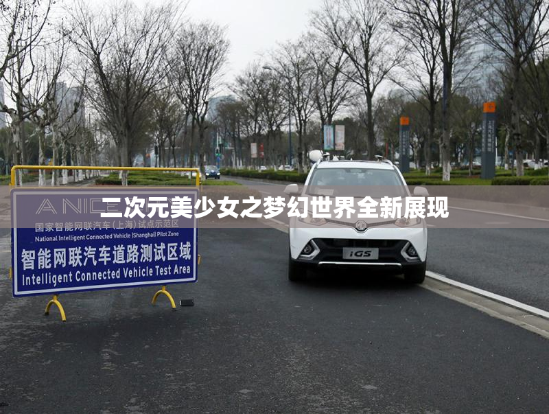 二次元美少女之梦幻世界全新展现