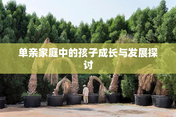 单亲家庭中的孩子成长与发展探讨