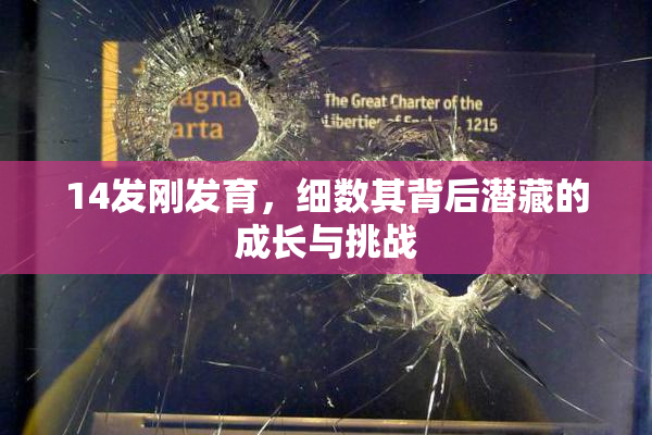 14发刚发育，细数其背后潜藏的成长与挑战