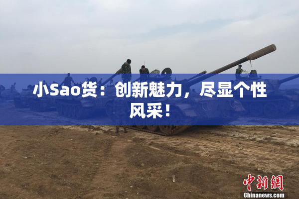 小Sao货：创新魅力，尽显个性风采！