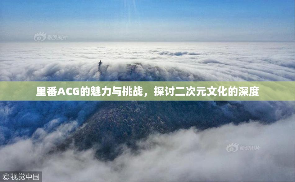 里番ACG的魅力与挑战，探讨二次元文化的深度
