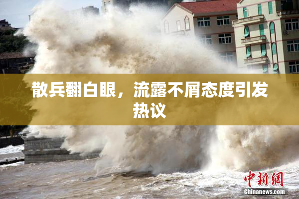 散兵翻白眼，流露不屑态度引发热议