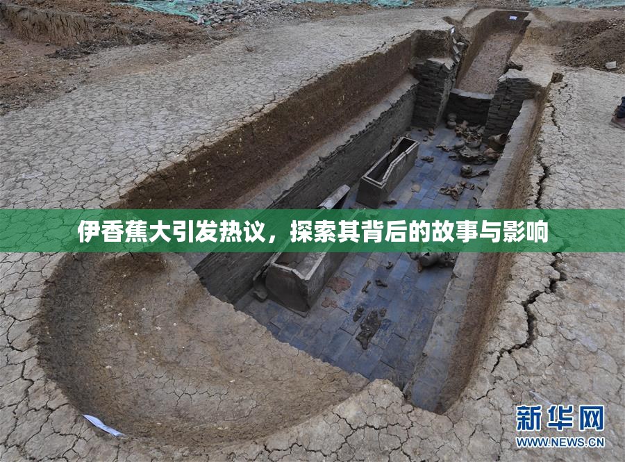 伊香蕉大引发热议，探索其背后的故事与影响