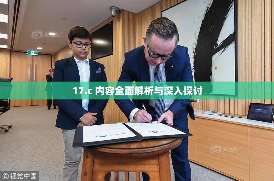 17.c 内容全面解析与深入探讨