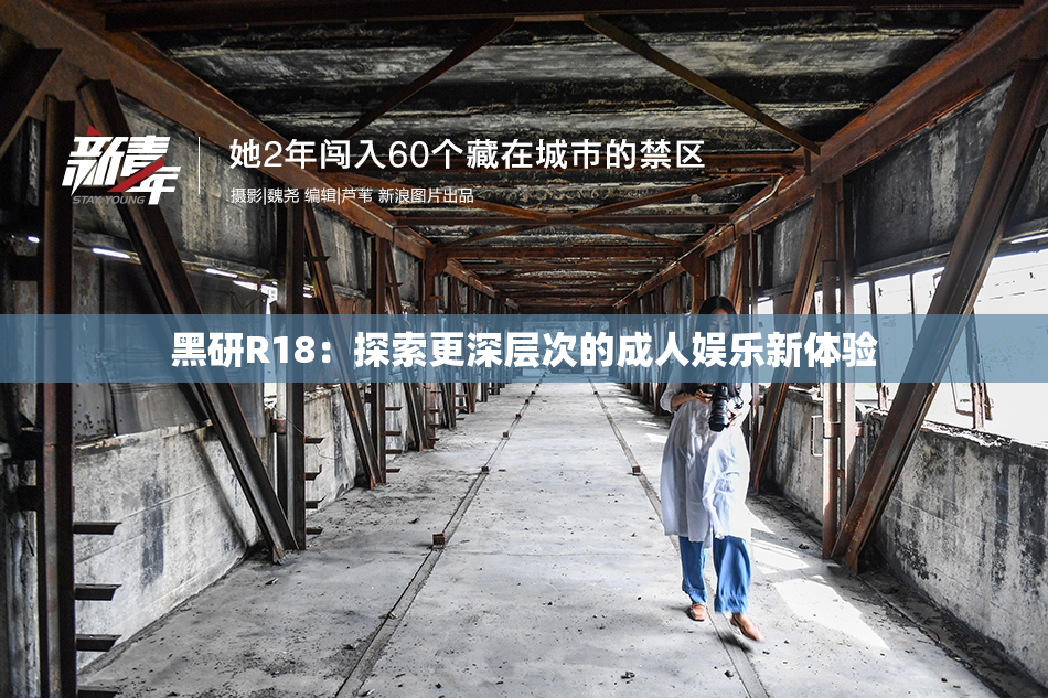 黑研R18：探索更深层次的成人娱乐新体验