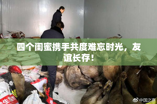 四个闺蜜携手共度难忘时光，友谊长存！