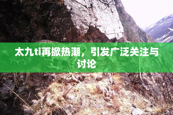 太九ti再掀热潮，引发广泛关注与讨论