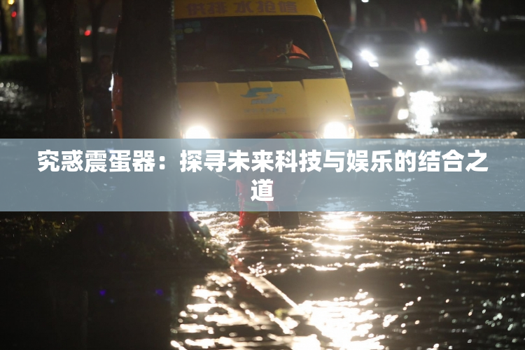 究惑震蛋器：探寻未来科技与娱乐的结合之道