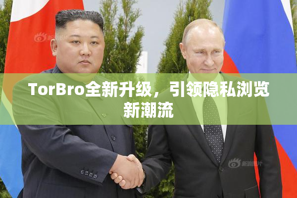 TorBro全新升级，引领隐私浏览新潮流