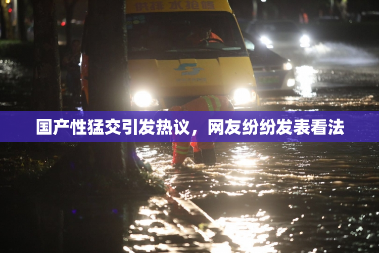 国产性猛交引发热议，网友纷纷发表看法