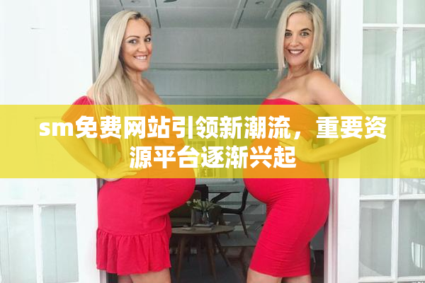 sm免费网站引领新潮流，重要资源平台逐渐兴起