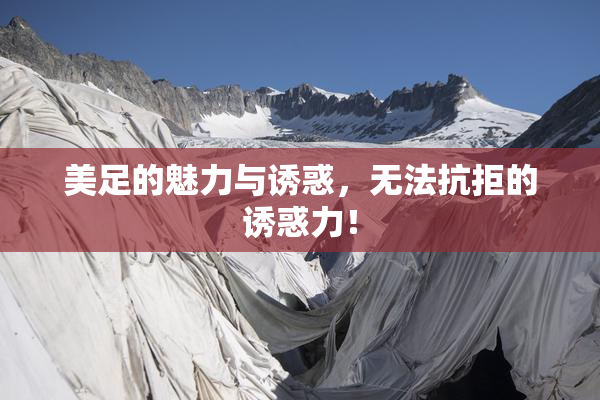 美足的魅力与诱惑，无法抗拒的诱惑力！