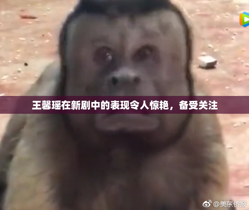 王馨瑶在新剧中的表现令人惊艳，备受关注