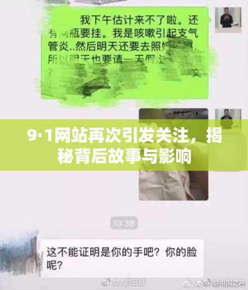 9·1网站再次引发关注，揭秘背后故事与影响