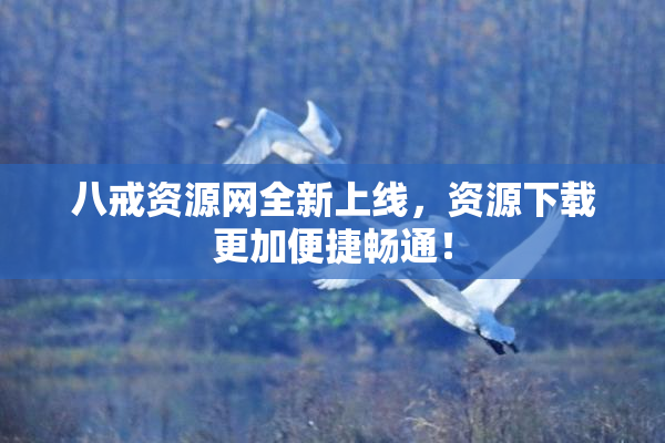 八戒资源网全新上线，资源下载更加便捷畅通！