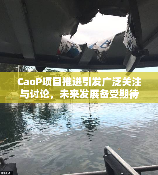 CaoP项目推进引发广泛关注与讨论，未来发展备受期待