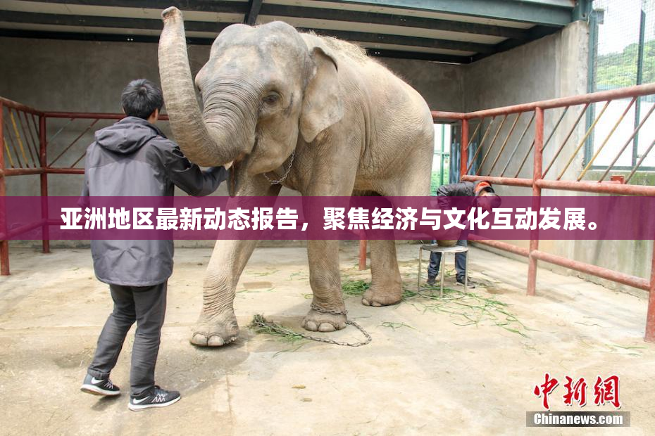 亚洲地区最新动态报告，聚焦经济与文化互动发展。