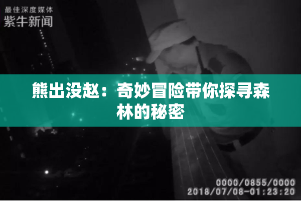 熊出没赵：奇妙冒险带你探寻森林的秘密