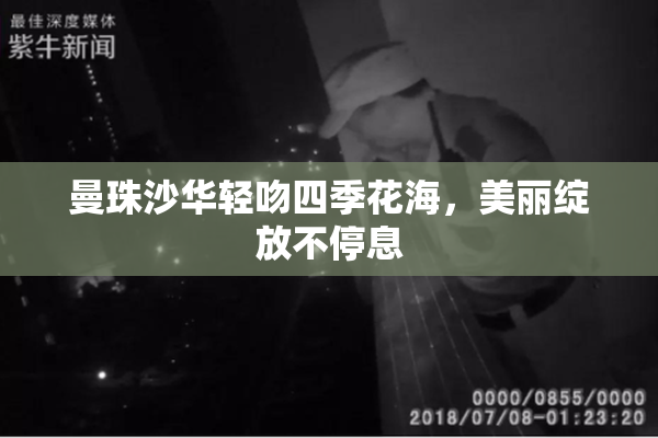 曼珠沙华轻吻四季花海，美丽绽放不停息