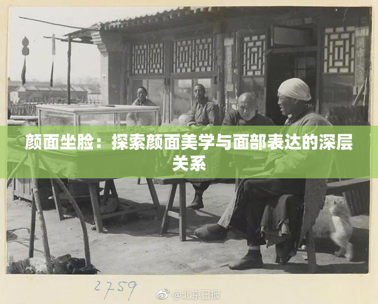 颜面坐脸：探索颜面美学与面部表达的深层关系