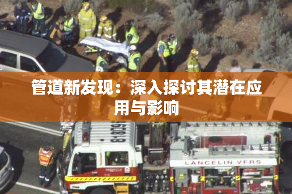 管道新发现：深入探讨其潜在应用与影响