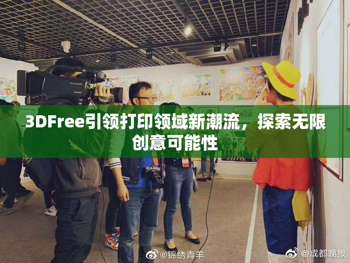 3DFree引领打印领域新潮流，探索无限创意可能性