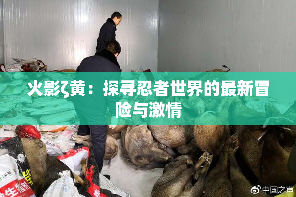 火影ζ黄：探寻忍者世界的最新冒险与激情