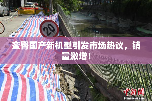 蜜臀国产新机型引发市场热议，销量激增！