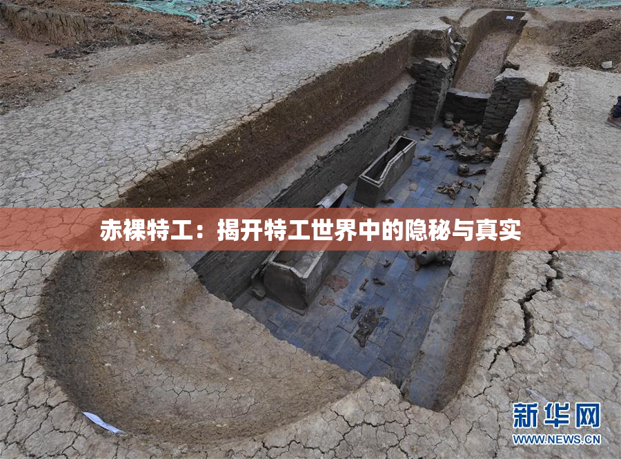 赤裸特工：揭开特工世界中的隐秘与真实