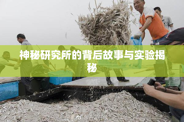 神秘研究所的背后故事与实验揭秘