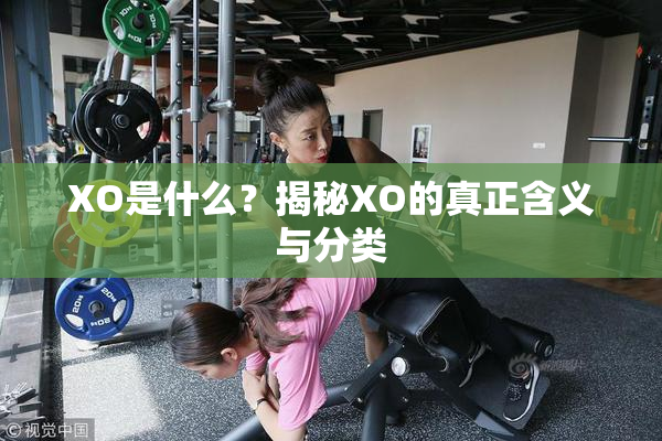 XO是什么？揭秘XO的真正含义与分类