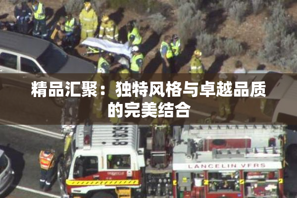精品汇聚：独特风格与卓越品质的完美结合