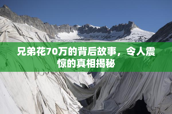 兄弟花70万的背后故事，令人震惊的真相揭秘