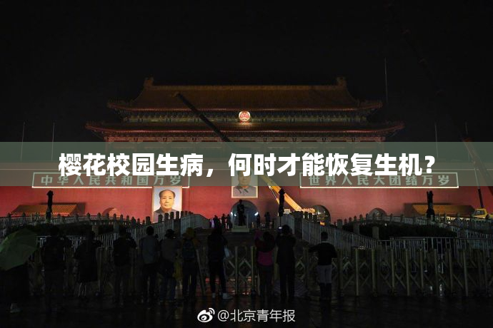 樱花校园生病，何时才能恢复生机？