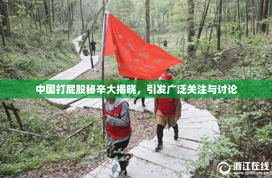 中国打屁股秘辛大揭晓，引发广泛关注与讨论