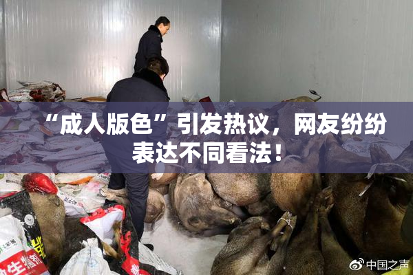 “成人版色”引发热议，网友纷纷表达不同看法！
