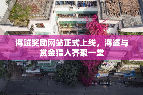 海贼奖励网站正式上线，海盗与赏金猎人齐聚一堂