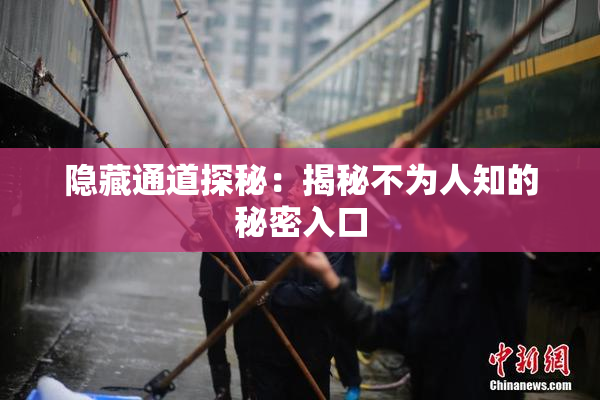 隐藏通道探秘：揭秘不为人知的秘密入口