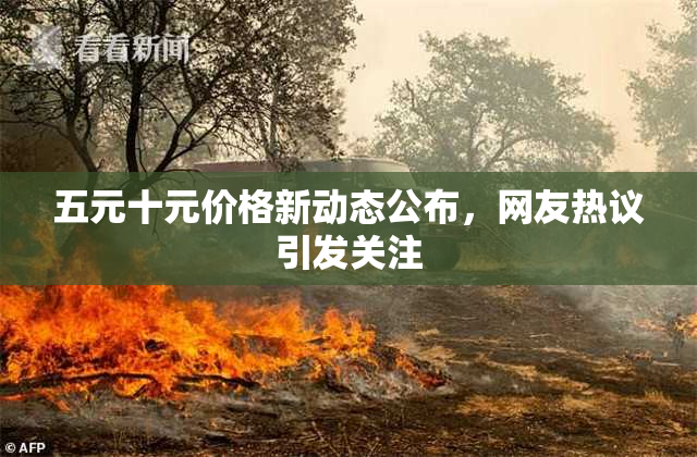 五元十元价格新动态公布，网友热议引发关注